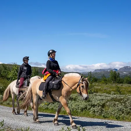 Perfect For Skiing And Access Beitostolen