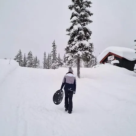 Perfect For Skiing And Access * Beitostolen